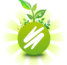 Environmental and Quality Policy